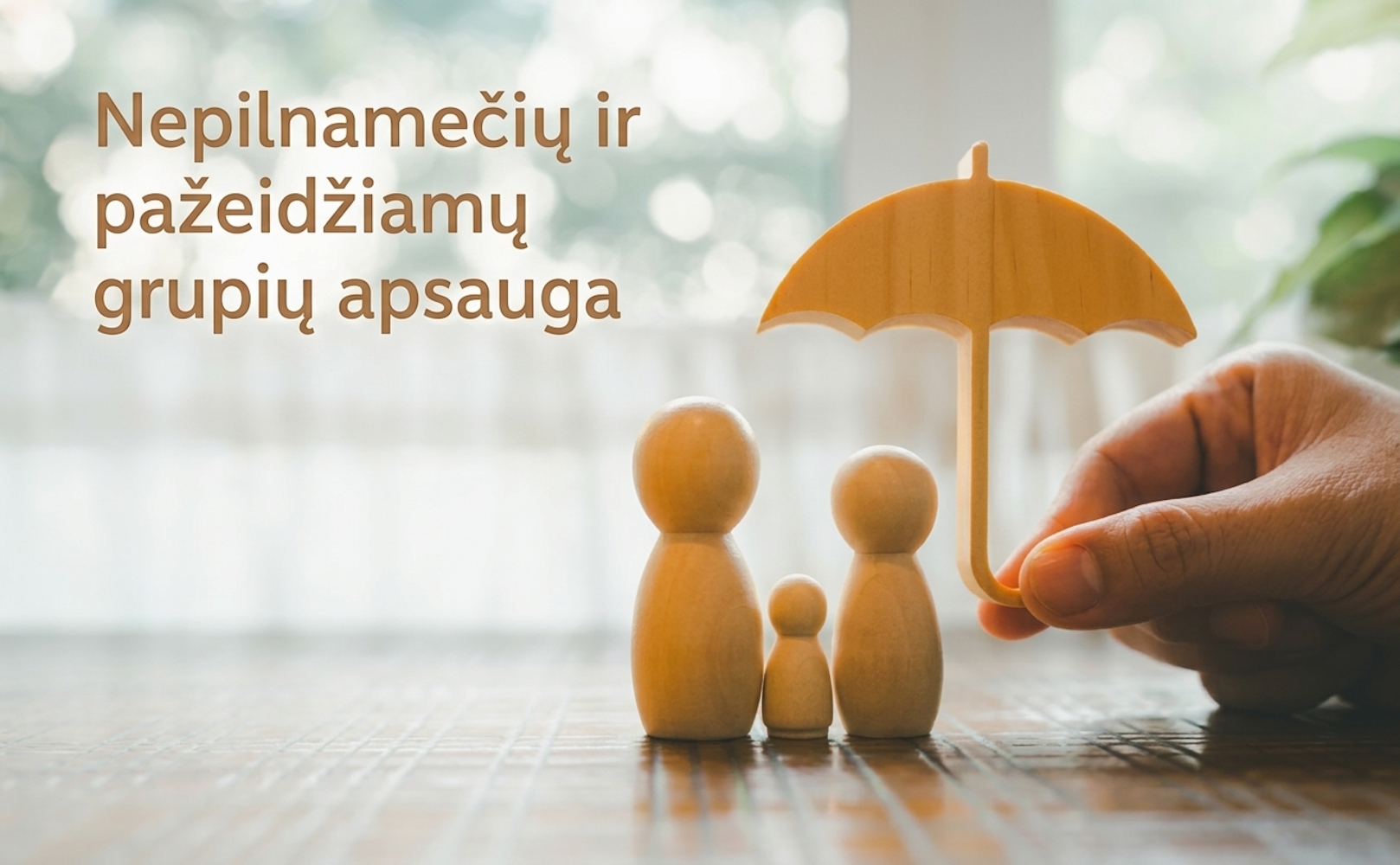 Nepilnamečių ir pažeidžiamų grupių apsauga